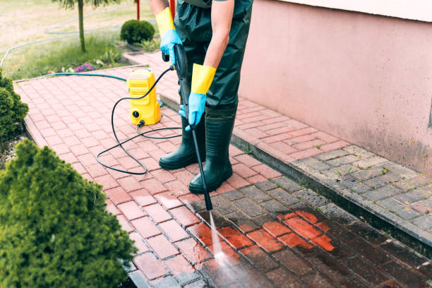 Best Playground Equipment Cleaning  in South Hill, NY